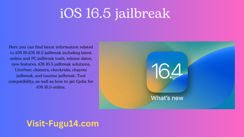 iOS 16.5 jailbreak